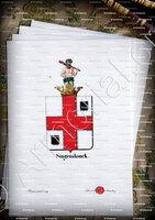 velin-d-Arches-SINGENDONCK_Armorial royal des Pays-Bas_Europe