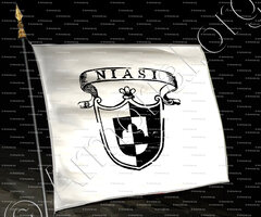 drapeau-NIASI_Padova_Italia