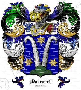 MARCUARD