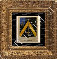 cadre-ancien-or-DE VIGNOLLE_Noblesse d'Empire._France