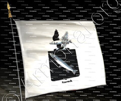 drapeau-SNOUCK_Armorial royal des Pays-Bas_Europe