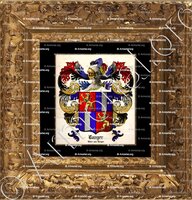cadre-ancien-or-LANGER_Ritter von Langer. Salz._Deutschland (ii)