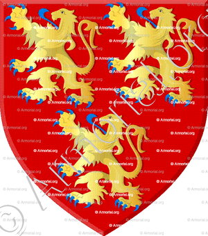 Arnould van Gavere  van Liedekerke_Flandre_Armorial du Comte Degand
