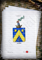 velin-d-Arches-SOEUENS_Armorial royal des Pays-Bas_Europe