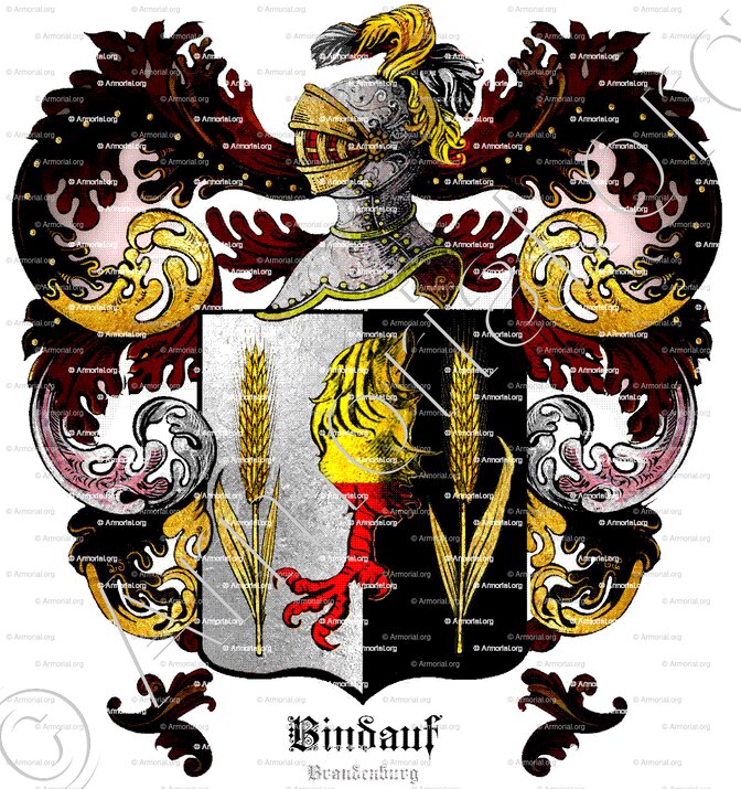 BINDAUF_Brandenburg_Deutschland ()