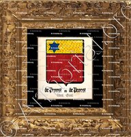 cadre-ancien-or-de PROOST ou de PROEST_Alost, Gand (3)