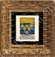 cadre-ancien-or-Poitiers de StVallier Ctes d__