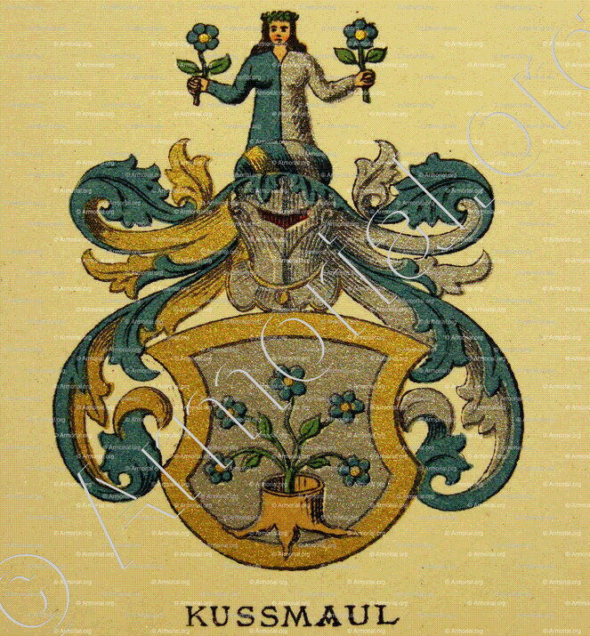 KUSSMAUL_Wappenbuch der Stadt Basel . B.Meyer Knaus 1880_Schweiz