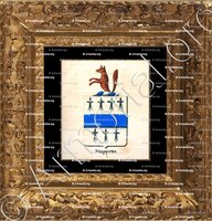 cadre-ancien-or-STAPPENS_Armorial royal des Pays-Bas_Europe