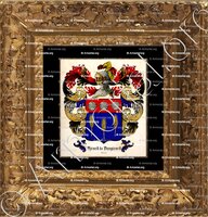 cadre-ancien-or-GIRARD de VAUGIRARD_Forez_France (1)