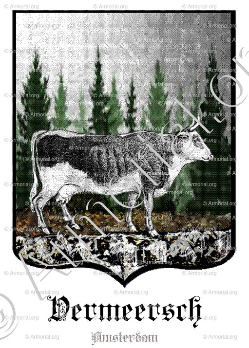 VERMEERSCH_Amsterdam_Nederland (1)