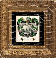 cadre-ancien-or-VERMEERSCH_Amsterdam_Nederland (2)