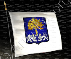 drapeau-de BUS_Comtat-Venaissin_France (2)