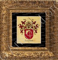 cadre-ancien-or-PRZESPOLEWSKI_Pozna_Polska (1)