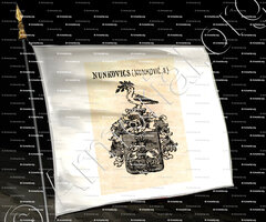 drapeau-NUNKOVICH (NUNKOVIĆ, II.)_ _
