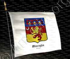 drapeau-SBARAGLIA_Bologna_Italia (2)