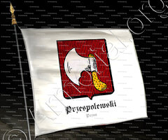 drapeau-PRZESPOLEWSKI_Pozna_Polska (2)