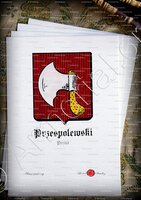 velin-d-Arches-PRZESPOLEWSKI_Pozna_Polska (2)