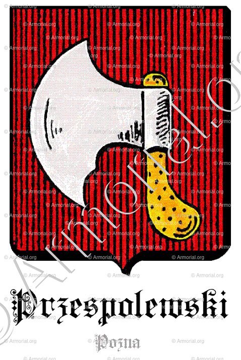 PRZESPOLEWSKI_Pozna_Polska (2)