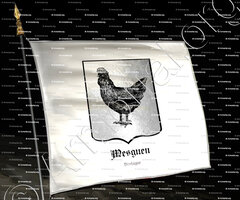 drapeau-MESGUEN_Bretagne_France (2) ()
