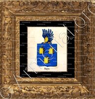 cadre-ancien-or-SUYS_Armorial royal des Pays-Bas_Europe