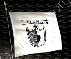 drapeau-PIGNA_Padova_Italia