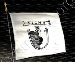 drapeau-PIGNA_Padova_Italia