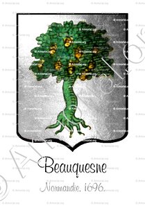 BEAUQUESNE