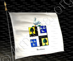 drapeau-BERTINA_Brabant_Belgique (2)