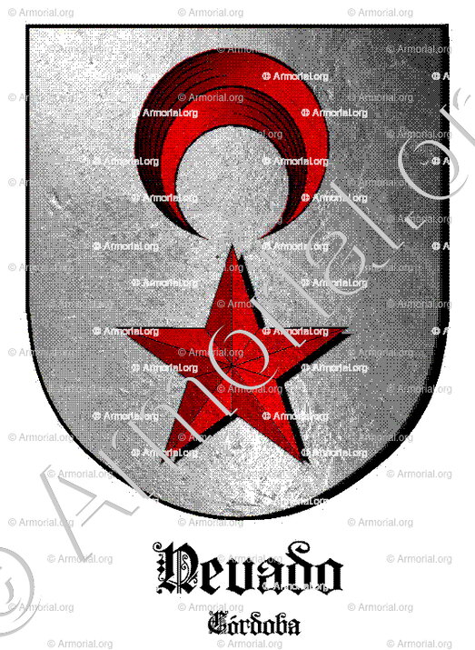 NEVADO_Córdoba_España (i)