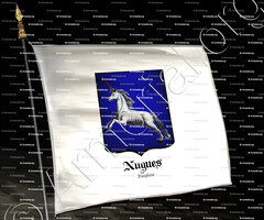drapeau-NUGUES_Dauphiné_France (2)