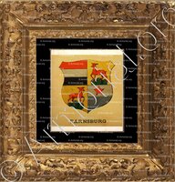 cadre-ancien-or-LANDVOGTEI FARNSBURG_Wappenbuch der Stadt Basel . B.Meyer Knaus 1880_Schweiz