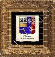 cadre-ancien-or-d'HARVANT BIGOT de VILLANDRY_Holland_Nederland (1)