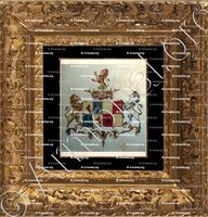 cadre-ancien-or-BIAUDOS de CASTEJA & de BOMBELLES_Basse-Navarre, Guyenne, Artois, Ailsace-Lorraine._France