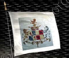 drapeau-BIAUDOS de CASTEJA & de BOMBELLES_Basse-Navarre, Guyenne, Artois, Ailsace-Lorraine._France