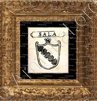cadre-ancien-or-SALA_Padova_Italia