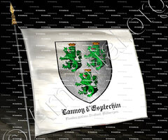 drapeau-LANNOY d'ESPLECHIN_Flandre wallone, Brabant, Antwerpen._France, België (Belgique)