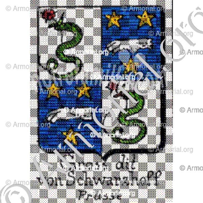 Gross dit von Schwarzhoff__