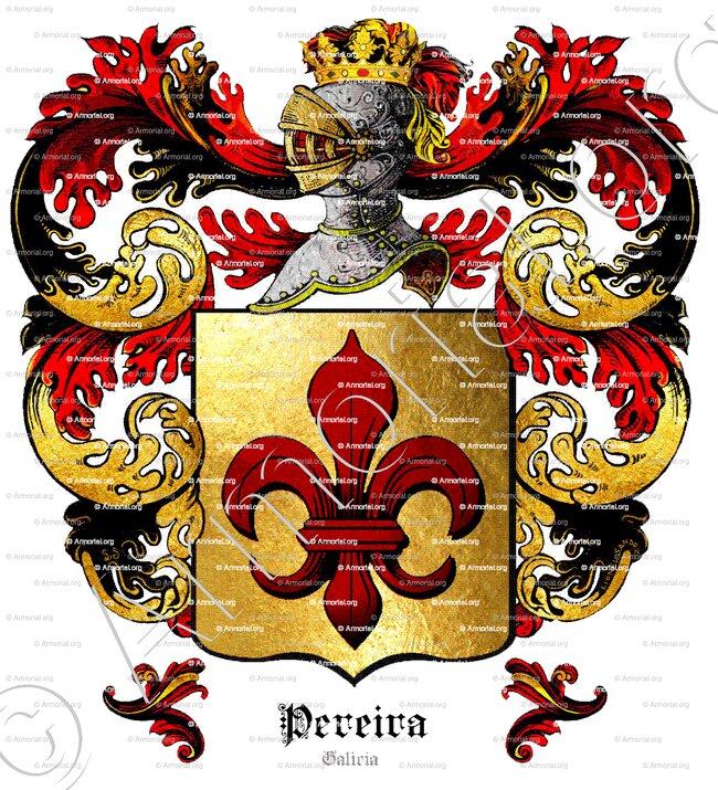 PEREIRA_Galicia_España  (2)