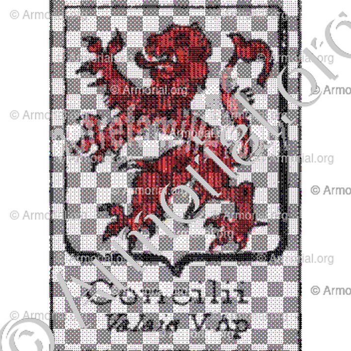 Concilii__