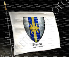 drapeau-VIGNOLO