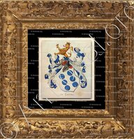 cadre-ancien-or-de CASTRO_Wapenboek van den Nederlandschen Adel. (J.B. Rietstap)._Nederland ()