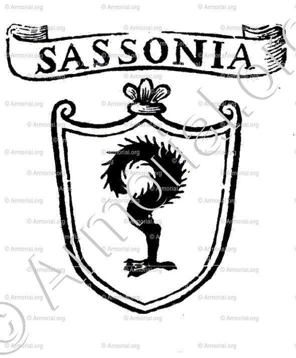 SASSONIA_Padova_Italia