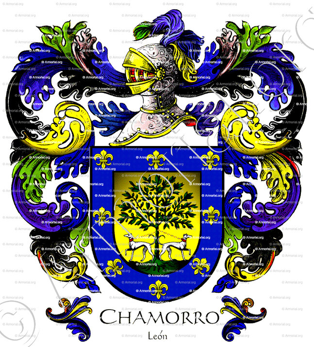 CHAMORRO_Leon_España (ii)