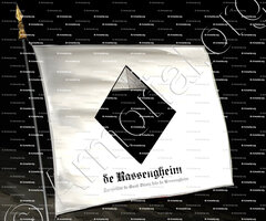 drapeau-de RASSENGHIEN_Jacqueline de Gand Vilain dite de Rassengheim. Flandres._France Belgique_