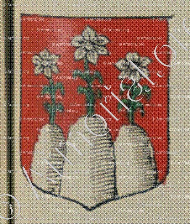 CHAQUE_Blason enregistré sous le règne de Louis XIV_France