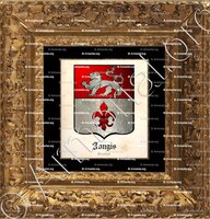 cadre-ancien-or-JONGIS_Friesland_Nederland