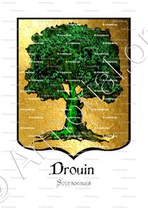 DROUIN