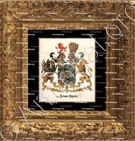 cadre-ancien-or-van AERSSEN BEYEREN_Holland_Nederland (0)