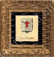 cadre-ancien-or-AESCHLIMANN_Livre d'Or du Canton de Fribourg (Freiburg). (Alfred Raemy, 1898)_Schweiz Suisse Svizzera Switz